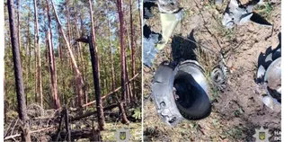 Лісничий знайшов уламки ворожого боєприпасу в лісі на Рівненщині (фото)