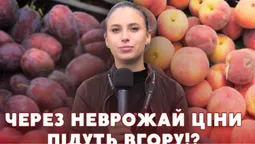 Ящики порожніють за хвилини: що масово розгрібають на ринку у Луцьку (відео)