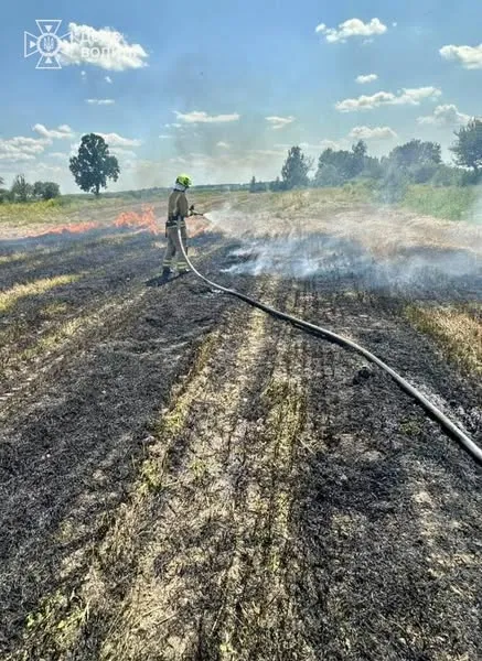 Через спалювання стерні на Ковельщині ледь не згоріло зернове поле (фото)