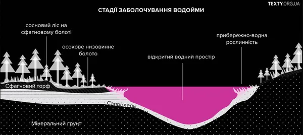 Тортури димом: Україні загрожують масштабні пожежі на торфовищах