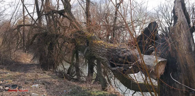 Луцький фотохудожник присвятив серію знімків Юрію Яцюку