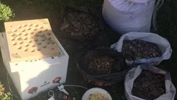 На Волині "накрили" цех з обробки бурштину (фото)