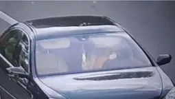 У Рожищі в поляка вкрали автомобіль (фото)