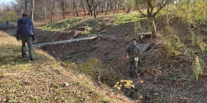 У Луцьку в «Дубовому гаю» чистять береги Жидувки (відео)
