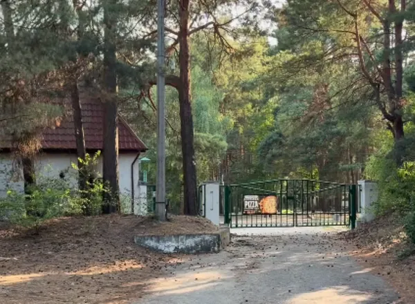 Сосновий ліс і чисті пляжі: біля Луцька є ідеальне місце відпочинку, де мало людей і багато риби (відео)