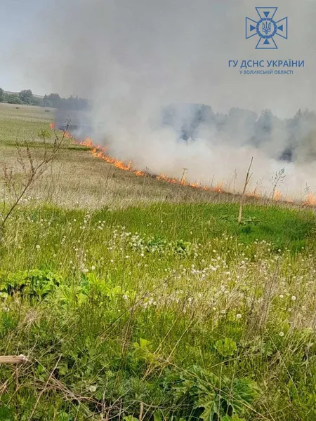 Згоріло пів поля: у Луцькому районі загасили масштабну пожежу (фото)