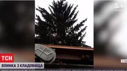 На Рівненщині головну ялинку привезли з цвинтаря, мер заспокоїв – дерево освятили