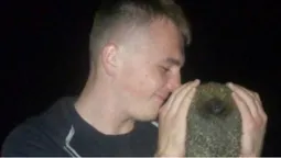 На могилу до загиблого військового, який любив їжаків, прийшов колючий друг (фото)
