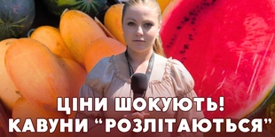 Чому продавці у Луцьку поки радять купувати грецькі, а не українські кавуни (відео)