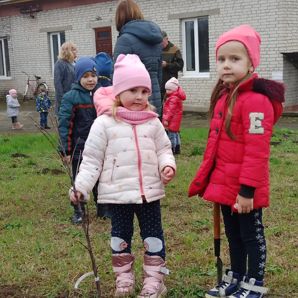Парки, сквери, вулиці: у Луцькій громаді восени висадили 254 дерева та 285 кущів (фото)