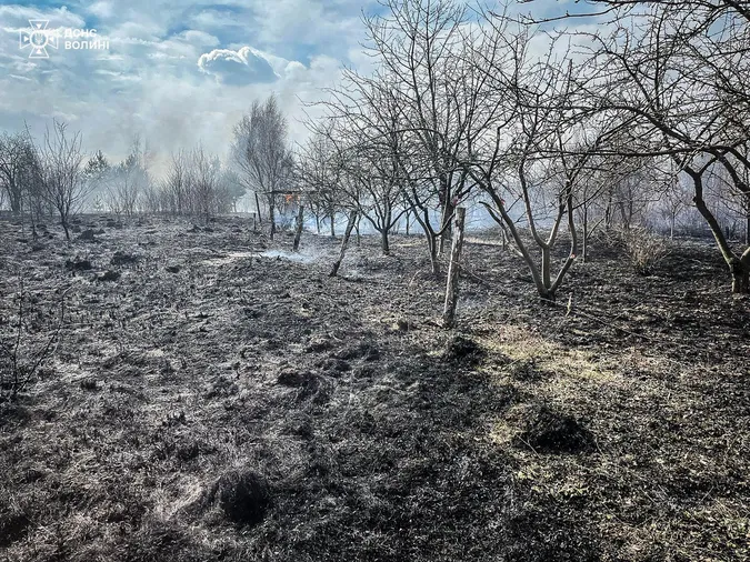 На Волині палають поля та дачні масиви (фото)