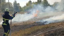 У трьох волинських селах – масштабні пожежі на полях (фото)