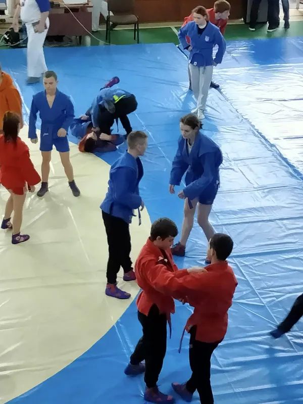 Спортсменка з Волині виборола «бронзу» на чемпіонаті України з самбо (фото)