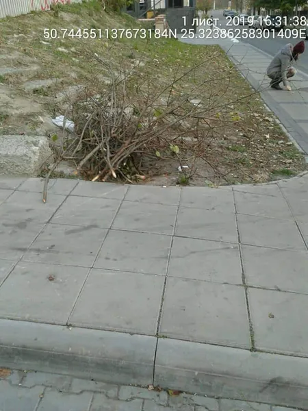 Лучан змусили поприбирати розкидане листя та будівельне сміття  (фото)