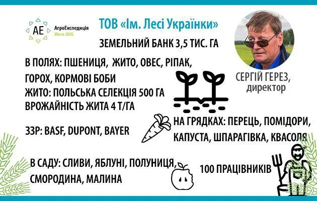 Волинські агрогосподарства діляться секретами вирощування жита 