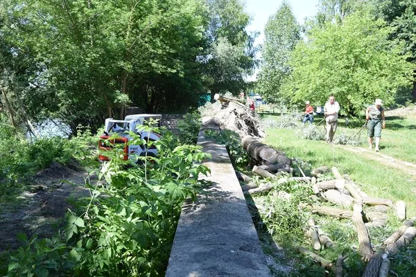 У луцькому парку видаляють аварійні дерева (фото)