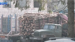 На Волині пенсіонерка купила дрова та втрапила в кримінал: деревину вилучили (відео)