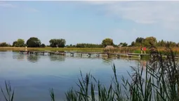 Зручні пірси і мало людей: на Волині в озері у формі вуха водиться багато риби (фото)