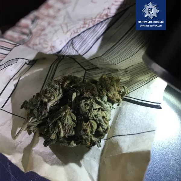 Рився в землі: в Луцьку патрульні знайшли в чоловіка наркотики