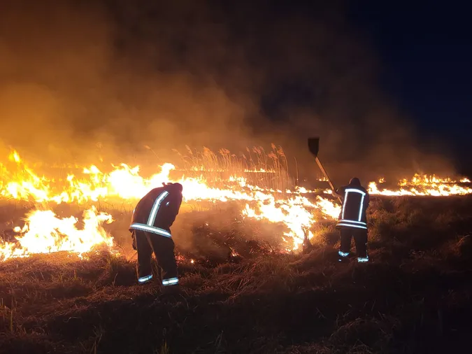 На Волині невідомі підпалили 3 гектари сухої трави та очерету (фото)
