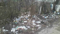 Муніципали перевірили Луцьк на чистоту (фото)