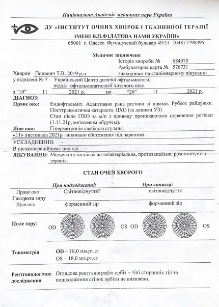 Впав оком на залізяку: дворічному волинянину необхідна термінова допомога. Оновлено