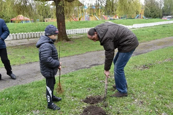 У центральному парку Луцька посадили нові дерева (фото)