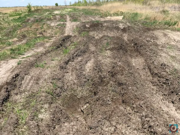 Бурштиновий промисел на карантині: що відбувається на поліських клондайках (фото, відео)