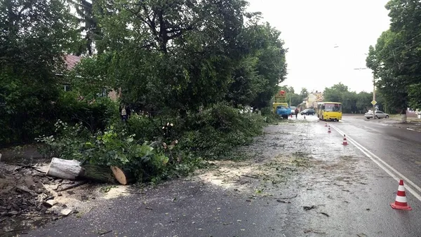 У Луцьку після негоди відновлюють тролейбусні лінії (фото)
