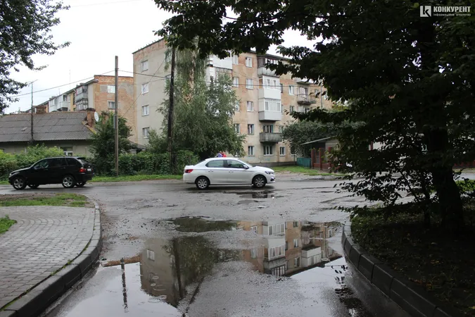 Підтоплені двори і опале листя: наслідки грози у Луцьку (фото)