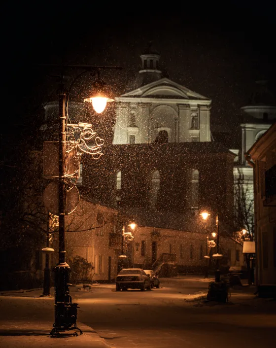 Світло ліхтарів і сяяння сніжинок: нічний снігопад у Луцьку (фото)