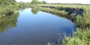 Ловиться і щука, і карась: біля Луцька є безкоштовна спокійна локація на Стиру для рибалок