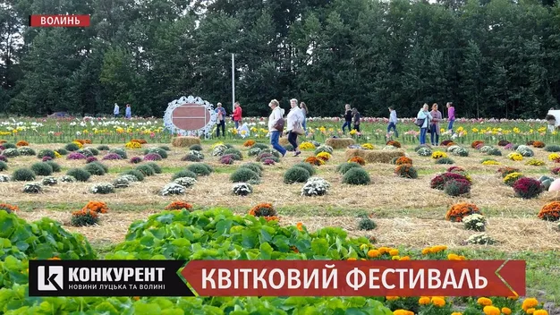 У «Волинській Голландії» розпочали фестиваль осінніх квітів (фото, відео)