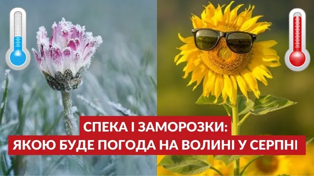 Головне у Луцьку: ТОП новин вівторка, 2 серпня