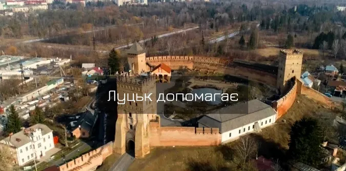 Ви котики: як у Луцьку допомагають армії