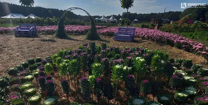 Фестиваль квітів «Осінь у Волинській Голландії» продовжили вдруге
