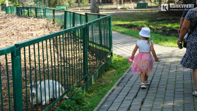 Спека і мокрі носики: останні дні серпня у Луцькому зоопарку (фото)