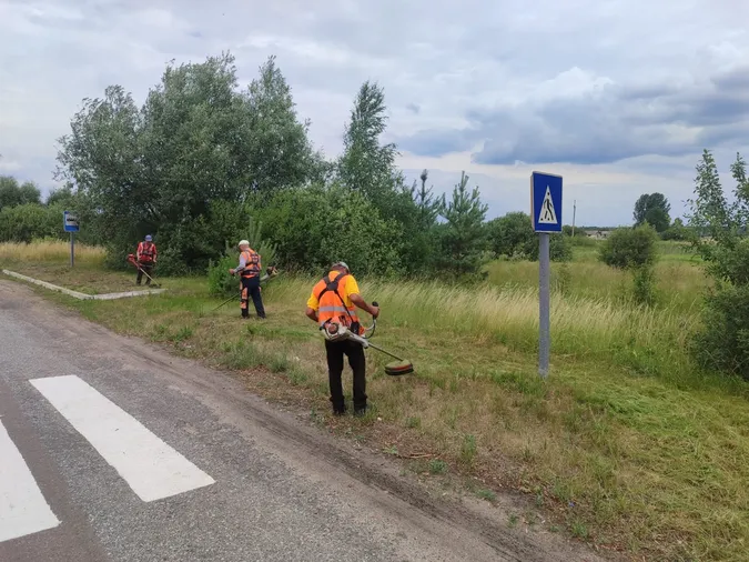На дорогах Волині косять узбіччя та борються з борщівником (фото)