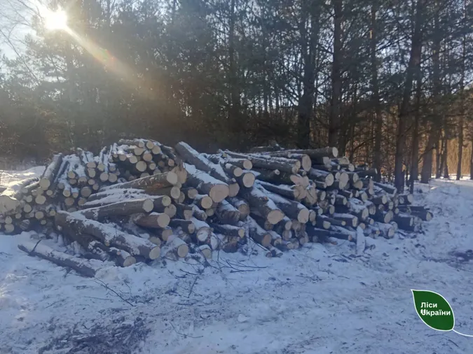 У Луцькому районі зловили ЗІЛ із нелегальною деревиною на 120 тисяч гривень (фото)