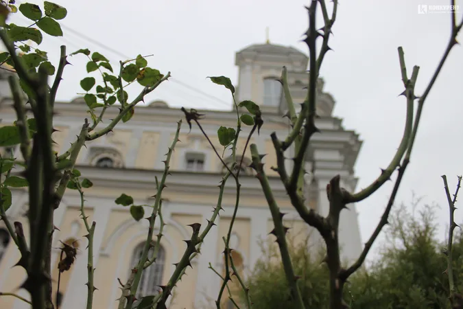 У Свято-Троїцькому соборі у Луцьку доцвітають останні квіти (фото)