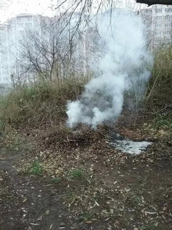 Лучан штрафують за спалювання сухого гілля (фото)