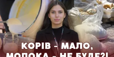 Корів стає дедалі менше: що коїться з домашньою молочкою на луцькому ринку (відео)