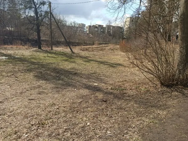 Дві вантажівки сміття: у Луцьку прибрали біля Сапалаївки (фото)