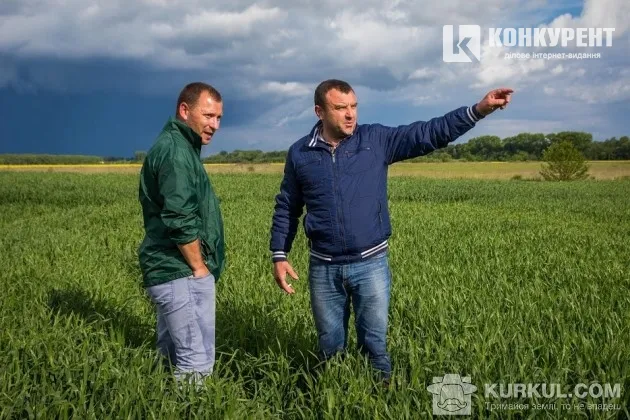 Волинські агрогосподарства діляться секретами вирощування жита 