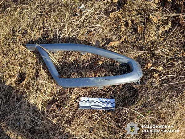Трагедія на відпочинку: на Рівненщині подружжя загинуло в авто, що злетіло в річку