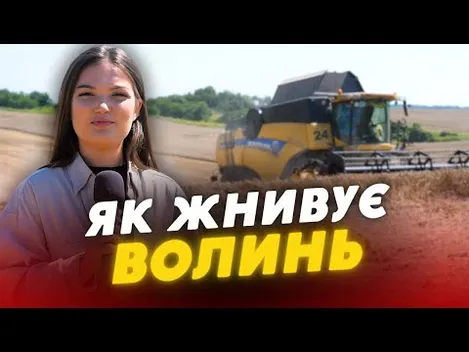 На Волині – розпал запізнілих жнив: чи буде цьогоріч врожай (відео)