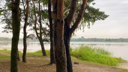 Атмосферні фото: показали осінні краєвиди Хрінників