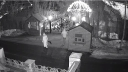 Під Луцький зоопарк підкинули цуценят (фото, відео)