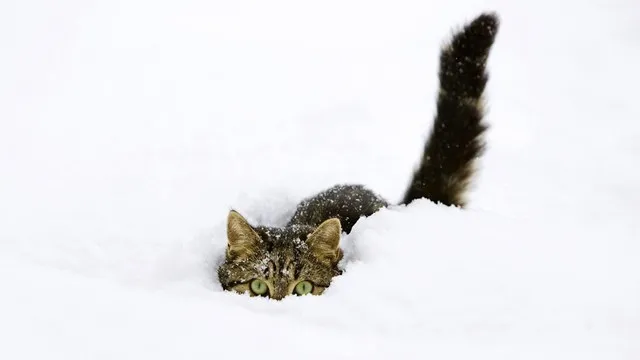 Хмарно й з мокрим снігом: погода у Луцьку на вівторок, 12 грудня