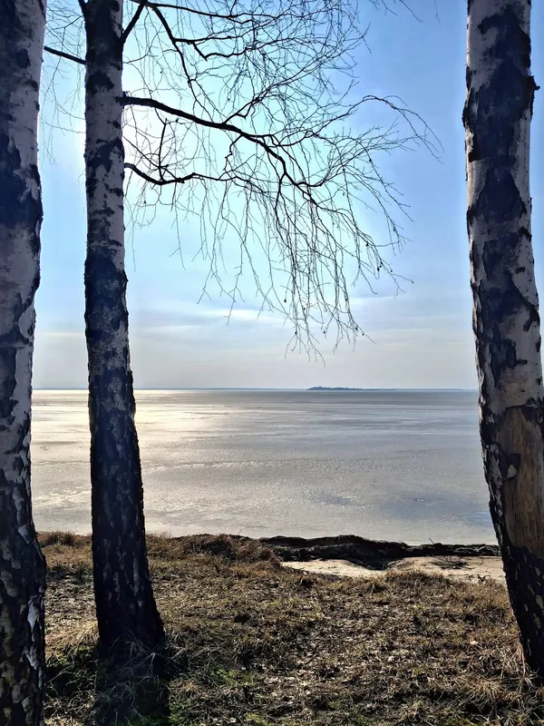 Крига, сонце і весна: Світязь огорнули перші теплі промені (фото)